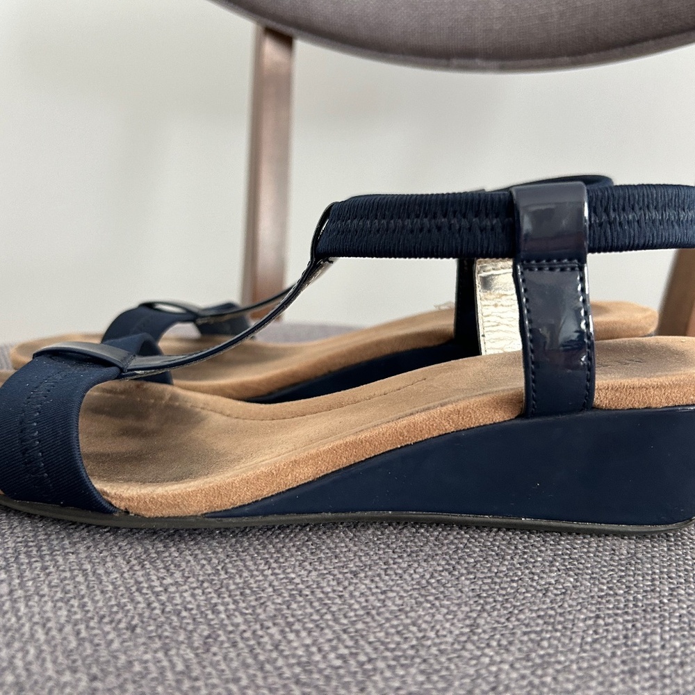 Alfani Navy Sandals